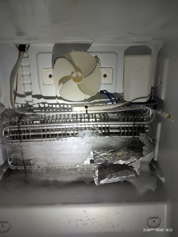 Blomberg K56300NEB Refrigerator photo 2